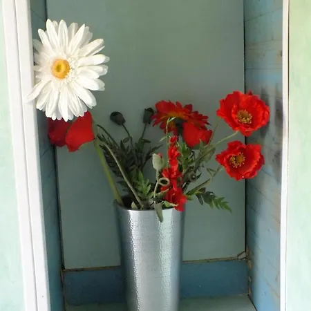 Bed & Breakfast Casa Turchina Avec Piscine Privee Porto-Vecchio (Corsica)