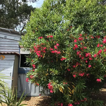 Bed & Breakfast Casa Turchina Avec Piscine Privee Porto-Vecchio (Corsica)