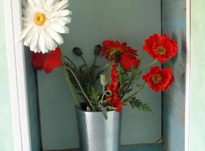 Bed & Breakfast Casa Turchina Avec Piscine Privee Porto-Vecchio (Corsica)