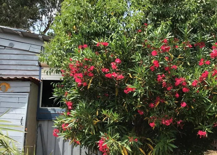 Bed & Breakfast Casa Turchina Avec Piscine Privee Porto-Vecchio (Corsica)